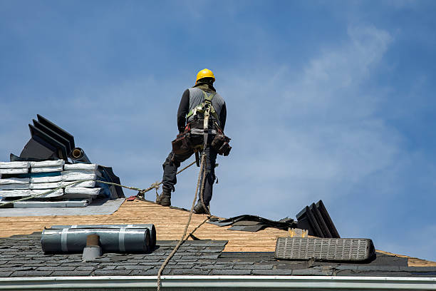Professional Storm Damage Roof Repair technician working in Mc Leod, MT